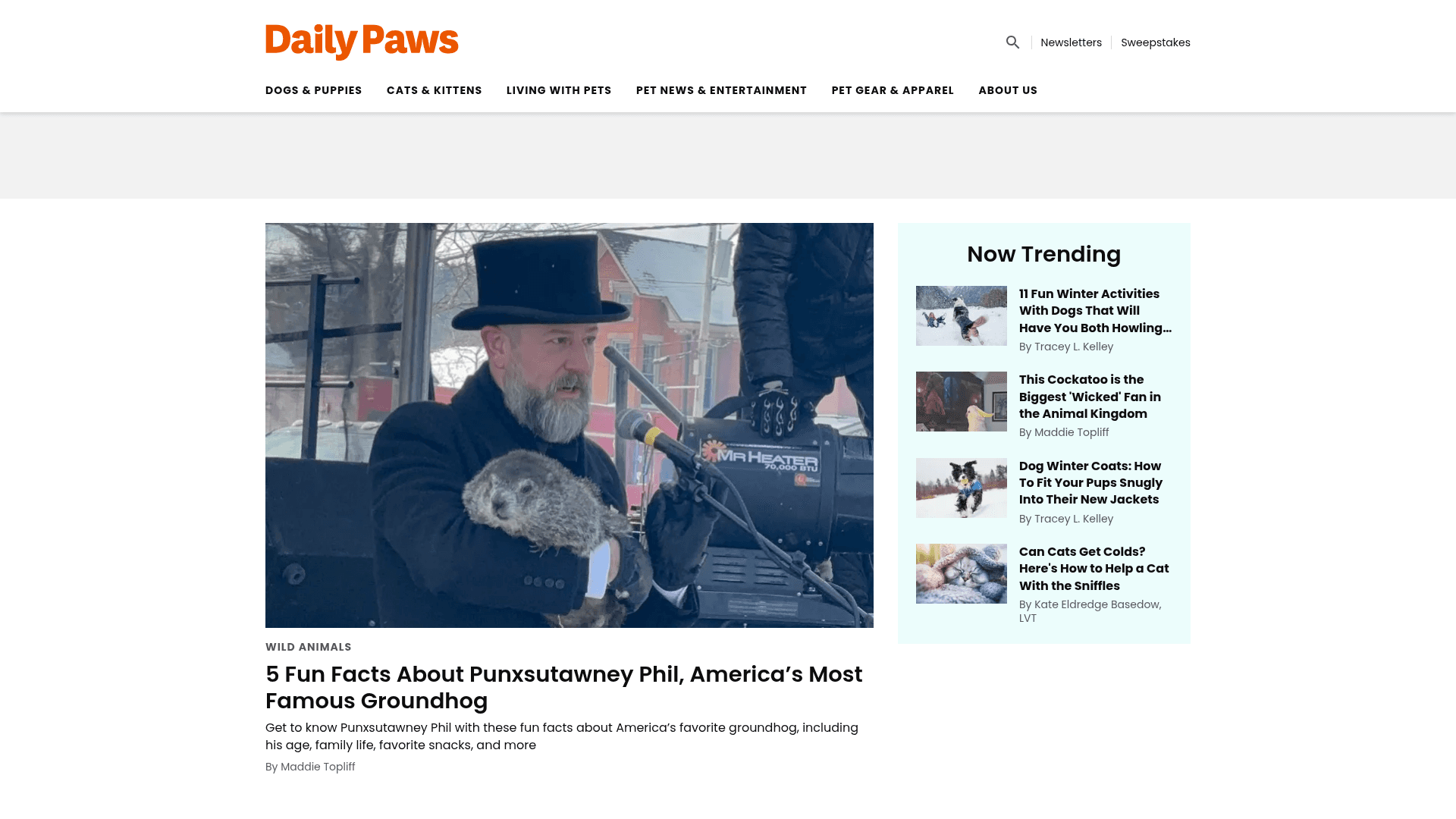 Si të bëni Scrape Daily Paws: Një udhëzues hap pas hapi për Web Scraper